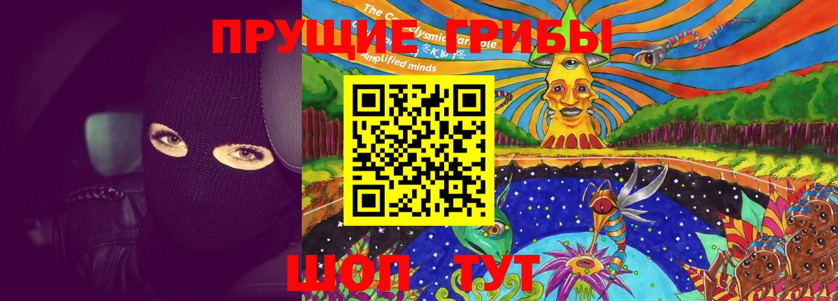где купить наркоту  Галлюциногенные грибы Magic Shrooms  Вход с VPN  Псилоцибиновые грибы мухоморы  Рославль 